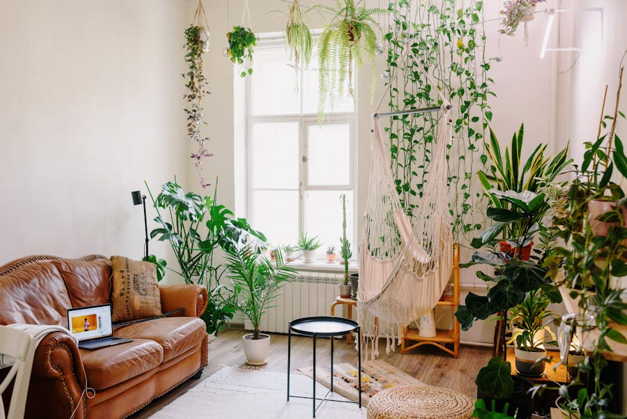 Bright, cool, comfortable Central Valley living room